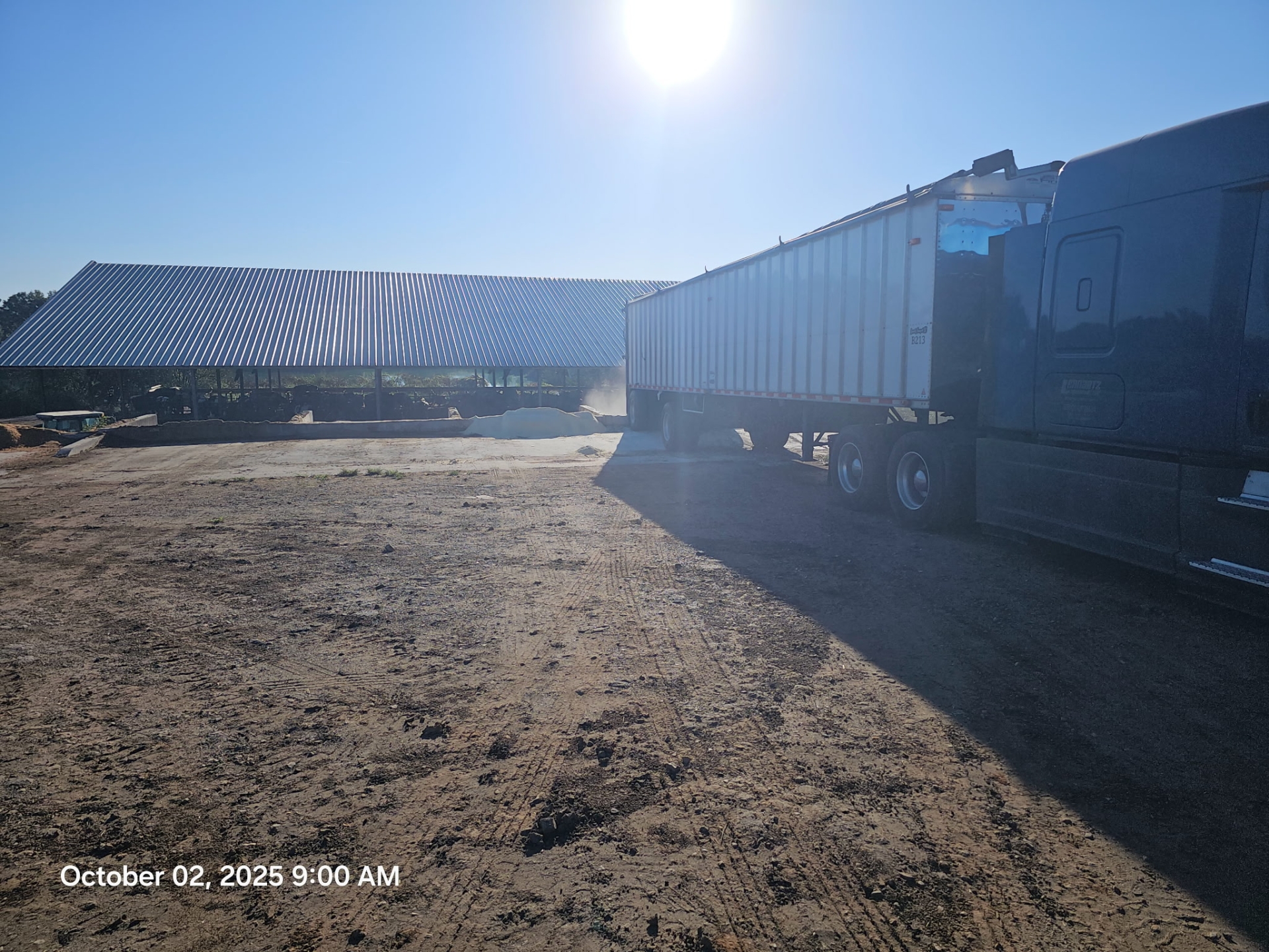 Loaded truck parked in sunny yard