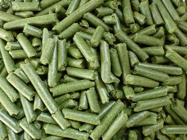 alfalfa pellets
