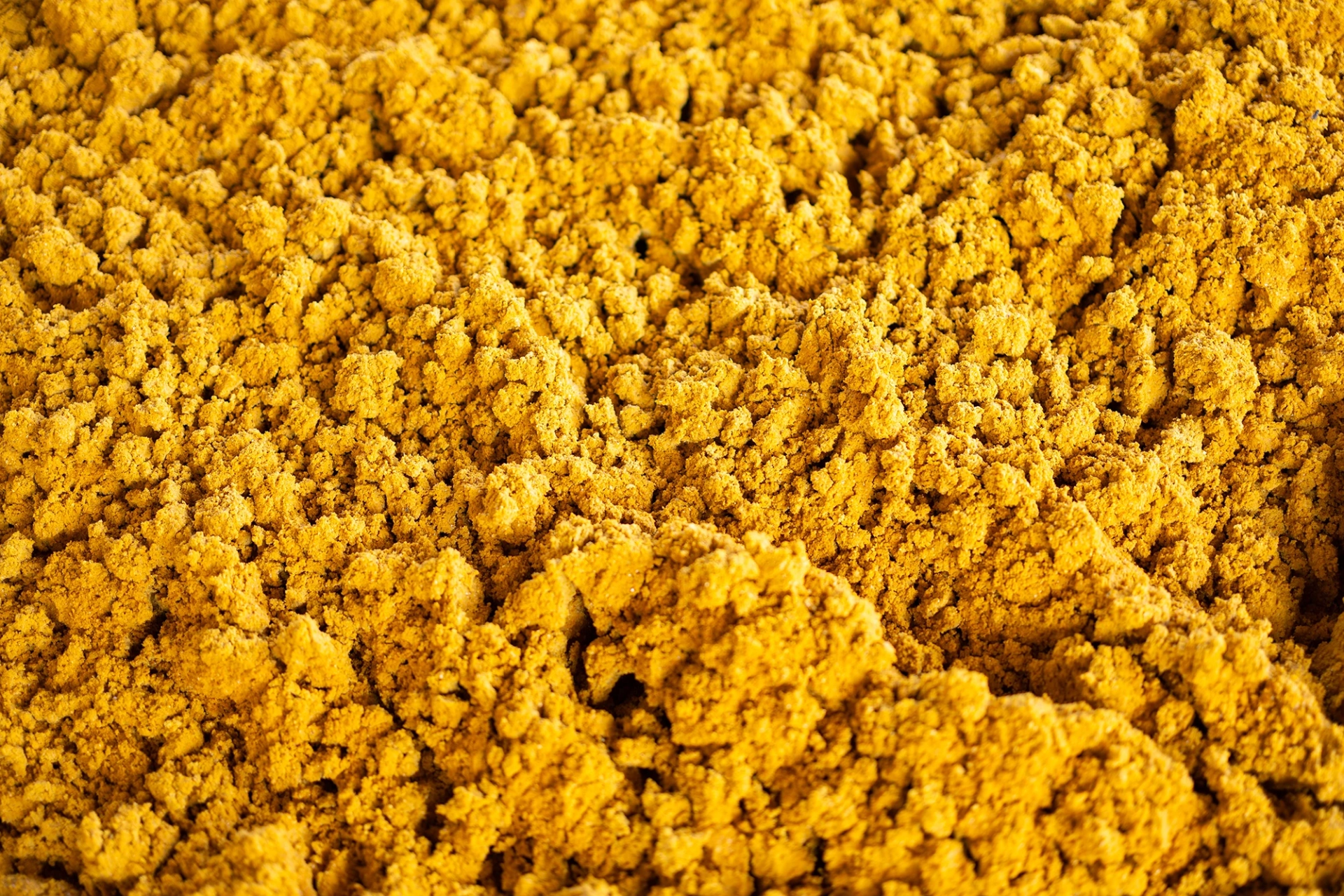 wet distillers grain